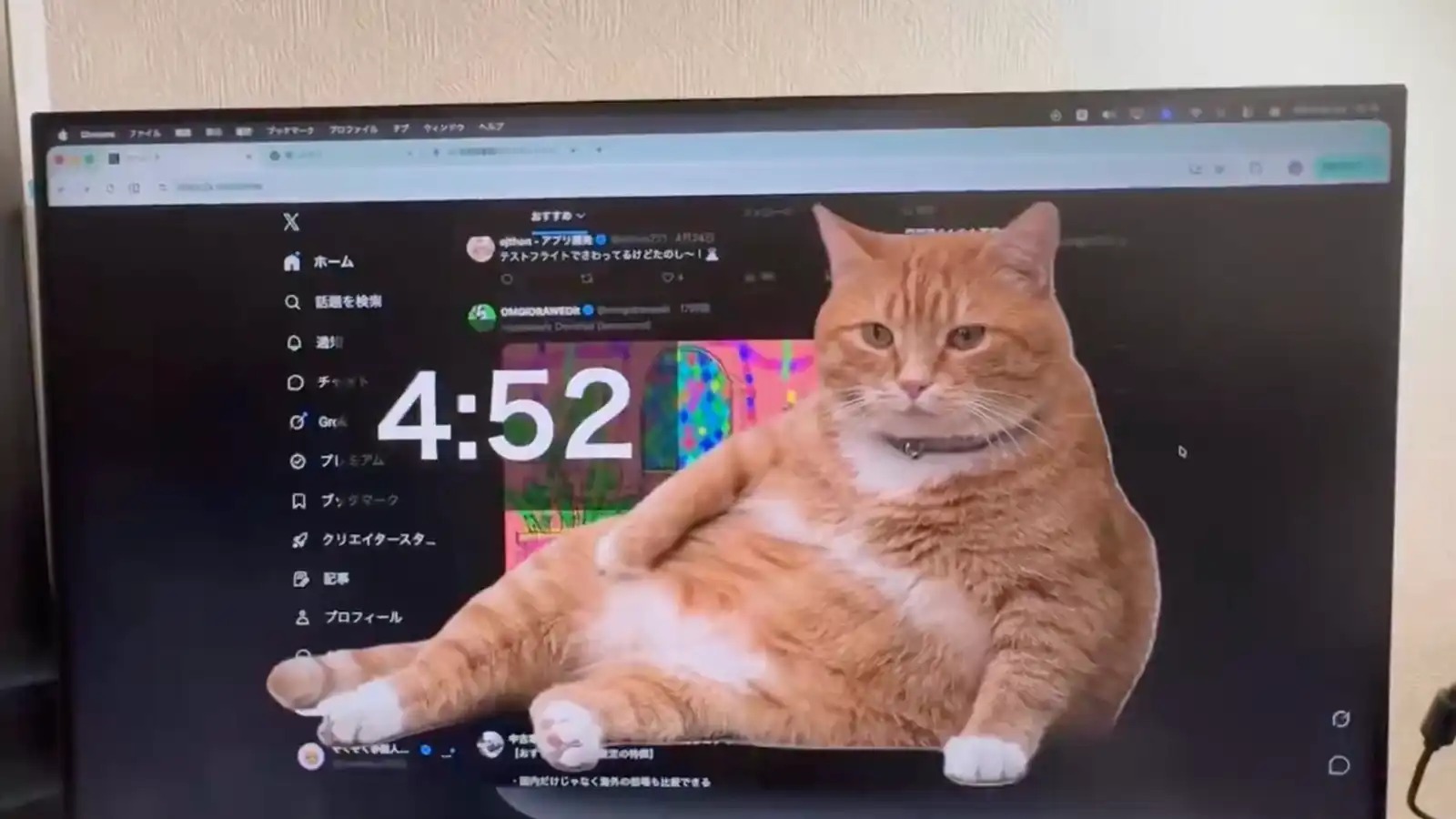 ابتكار يثير الجدل ..  قط يحجب الشاشة للحد من إدمان مواقع التواصل (فيديو) 