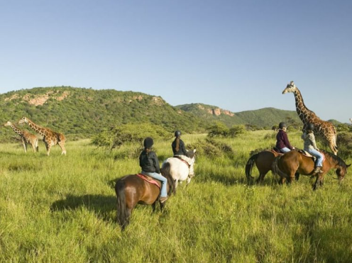  أهم النصائح لرحلة سفاري أفريقية عائلية لا تنسى