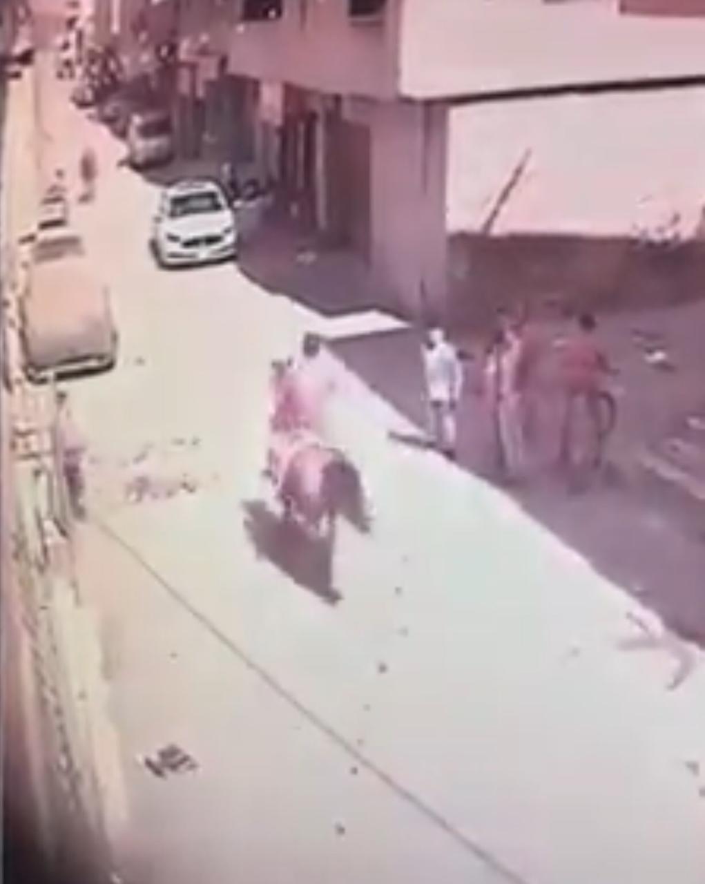 بالصور و الفيديو  ..  حادثة تصادم حصانين صبيحة عيد الفطر تنتهي بموت أحدهما