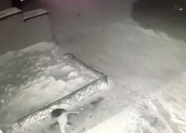 بالفيديو والصور ..  طفلة تنجو بأعجوبة بعد سقوطها من شرفة المنزل على كومة ثلج