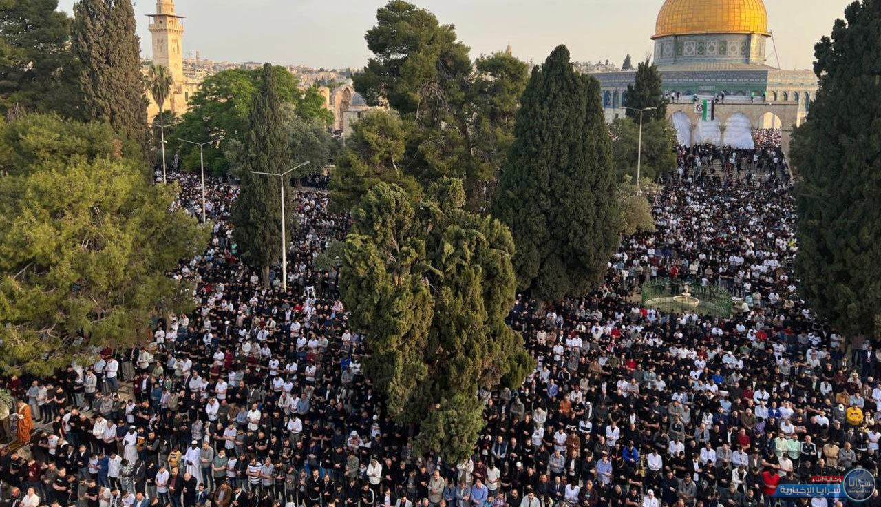 image.php?token=bf3eb19f8a85b0a1b5763324fbd0ae91&size=xxlarge