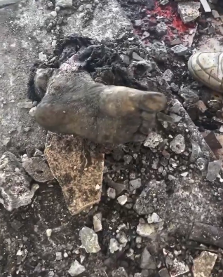 مشاهد مؤلمة  ..  28 شهيدا إثر 3 مجازر ارتكبها الاحتلال في غزة - فيديو 