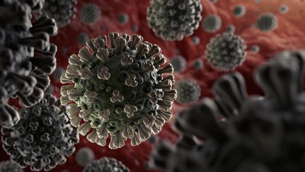 الصحة العالمية: المتحور دلتا لا يزال يتحور ووصل إلى أكثر من 80 دولة