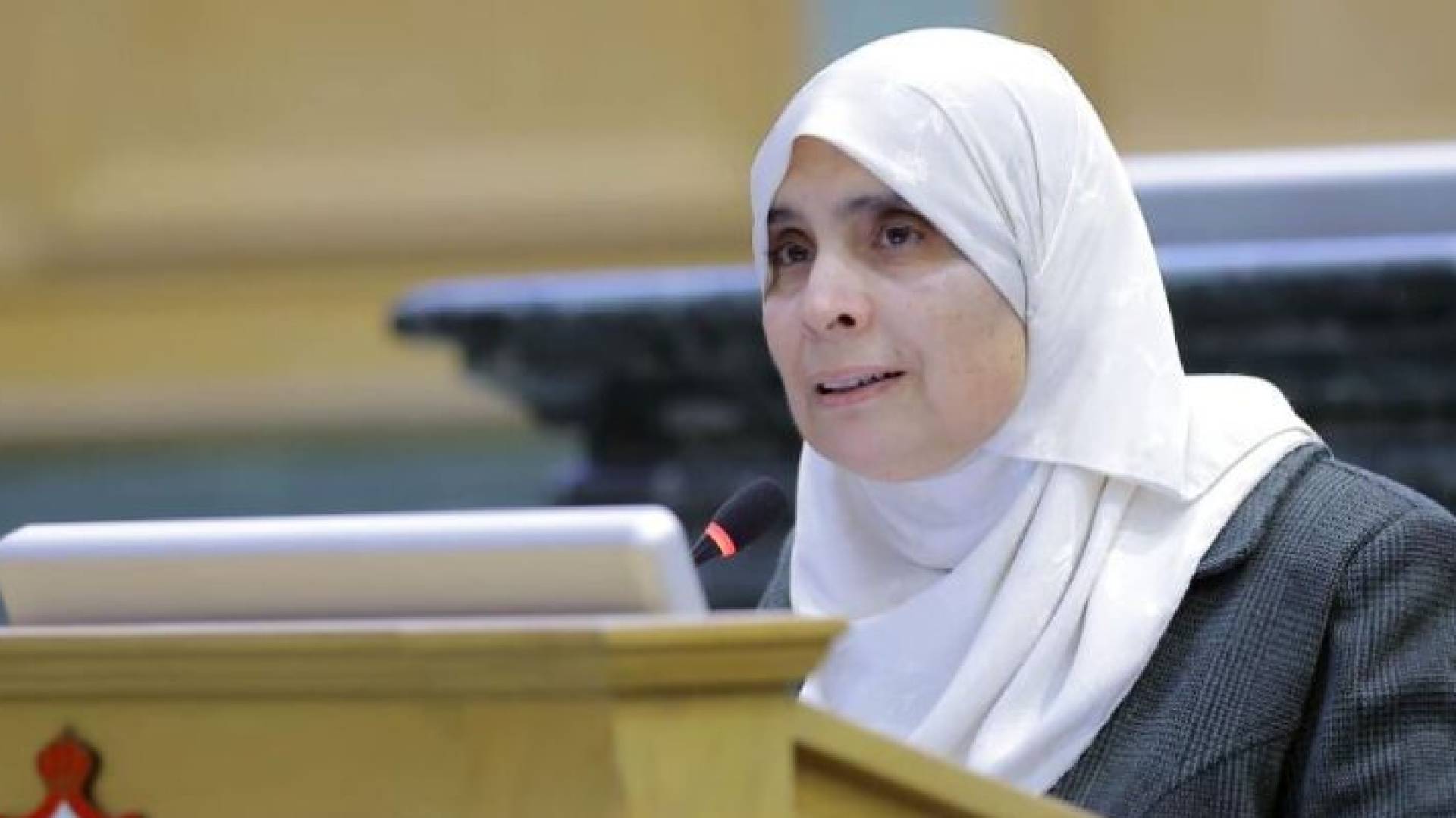 النائب "العباسي" ترفض اتفاقية التسليم مع إسبانيا لتجريم المقاومة الفلسطينية #سرايا 