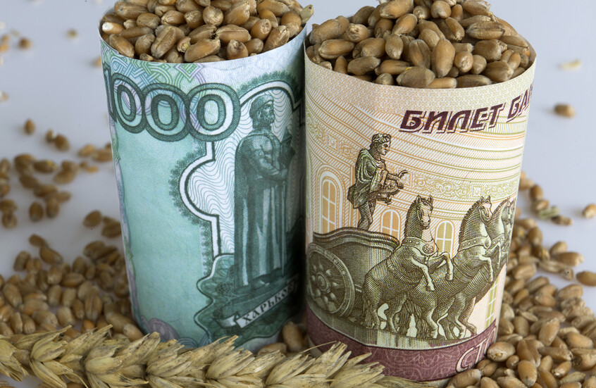 روسيا تتصدر قائمة موردي الغذاء إلى مصر
