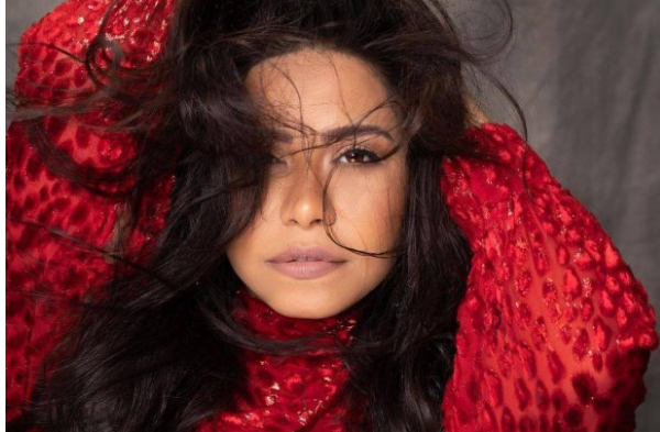 شيرين عبد الوهاب تعلن خطبتها على رجل أعمال مصري