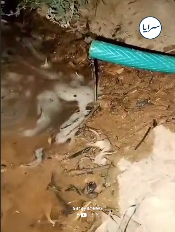 سكان قضاء الخالدية في المفرق يعانون من ضعف ضخ المياه رغم الشكاوى المتكررة  ..  فيديو 