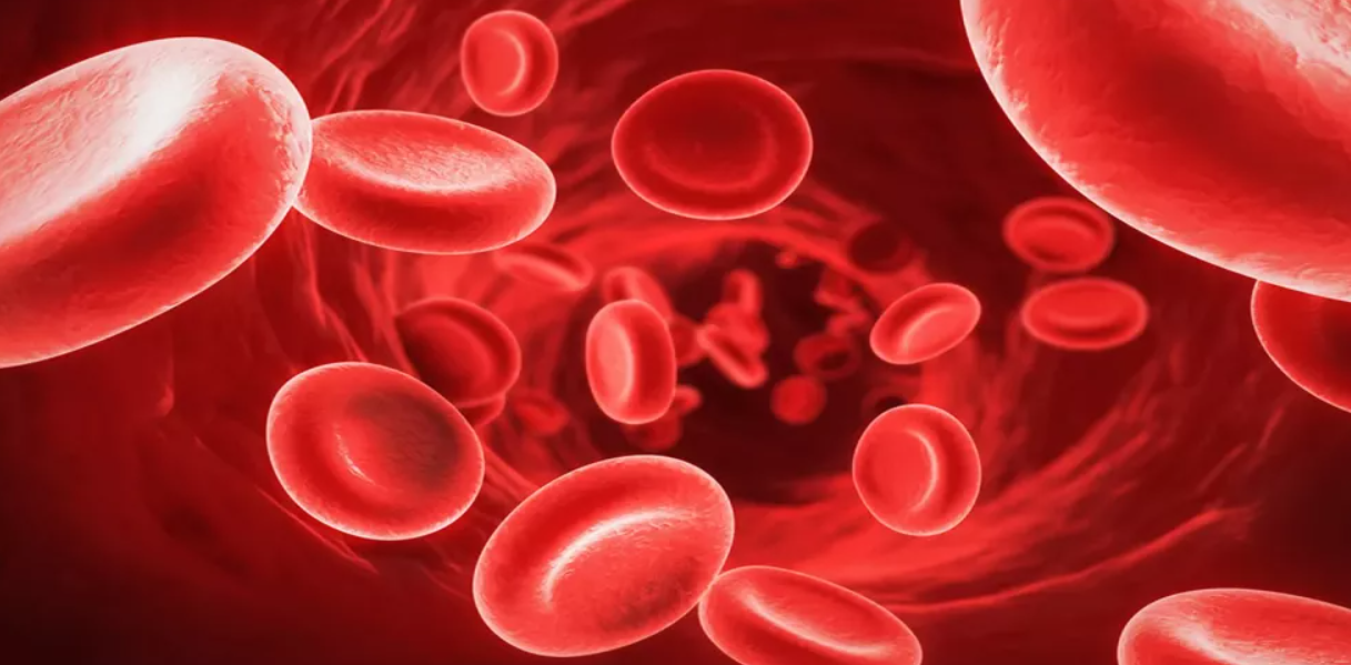 فقر الدم في رمضان  ..  هل الصيام آمن؟  ..  نصائح غذائية مهمة