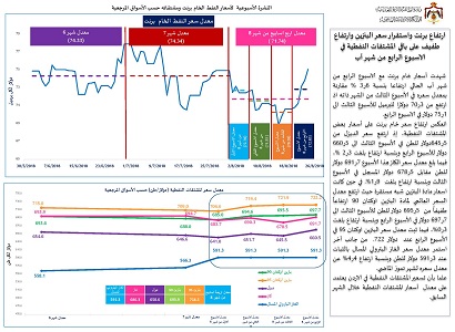 وزيرة الطاقة: أسعار البنزين عالميا شبه مستقرة