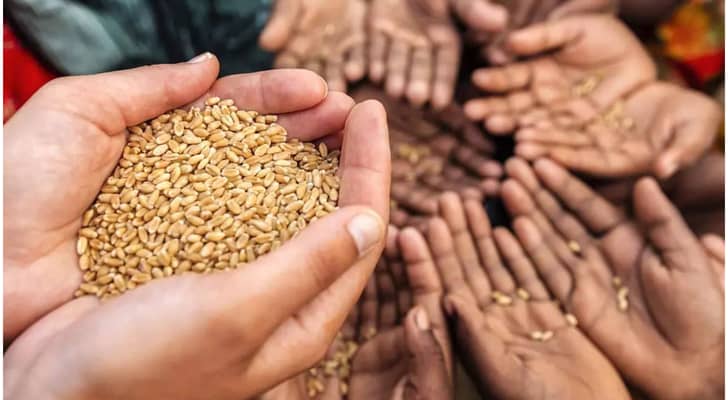وزير البيئة: استدامة المراعي مسؤولية وطنية وعربية لتعزيز الأمن الغذائي