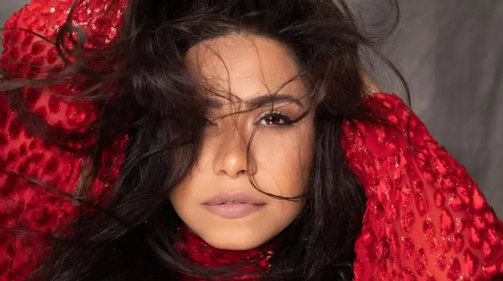 لسرقة آلاف الدولارات ..  شيرين عبد الوهاب في المخافر ثانية