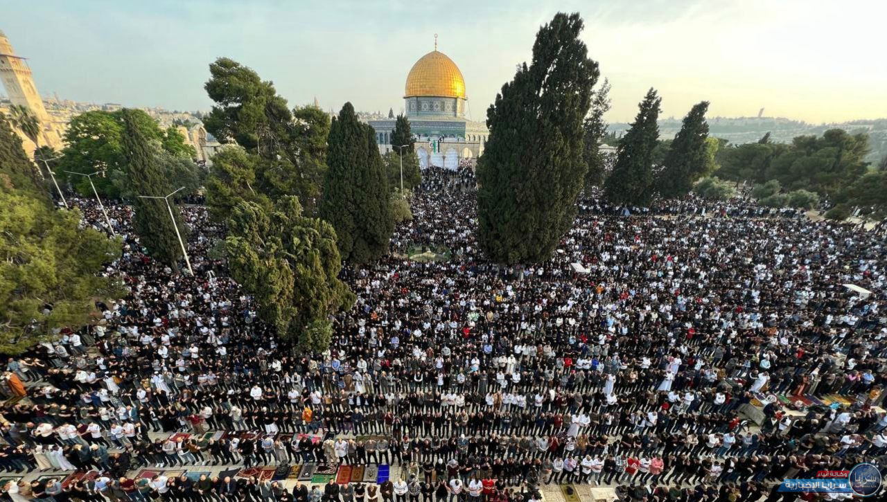 image.php?token=c1afcaebb875c42fa379aae46e3d3bd8&size=xxlarge