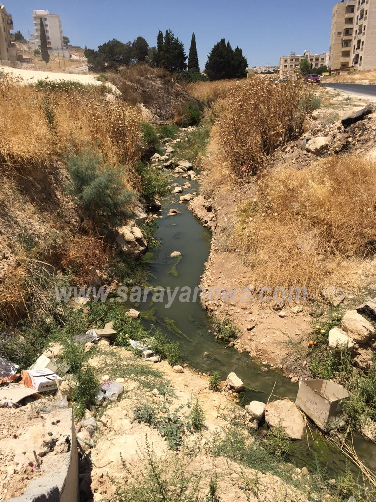 اهالي شفا بدران يشكون معاناتهم اثر مكرهة صحية في المنطقة 