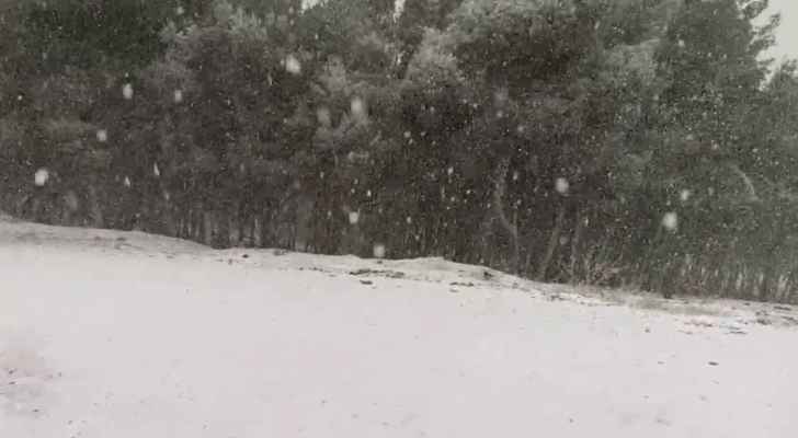 بالصور  ..  شاهد تساقط الثلوج على مناطق في محافظة الطفيلة صباح الجمعة 