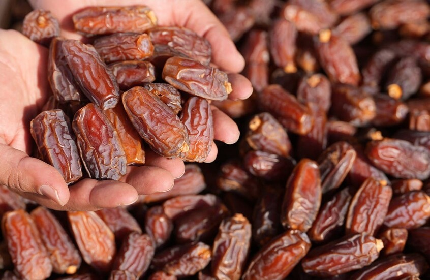 الإمارات ..  مجلس الإفتاء يقرر نصابا موحدا لزكاة التمور