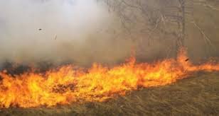 عبث اطفال يتسبب بحريق 3 دونمات من الاعشاب الجافة في عجلون