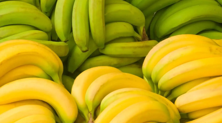 الموز الأخضر أم الأصفر ..  أيهما يحسن التحكم في سكر الدم؟  