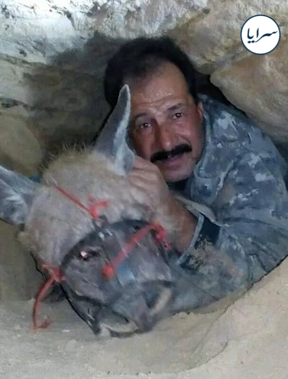 بالفيديو  ..  "هاي أكثر خوفه خفتها بحياتي" ..  ستيني يروي لسرايا لحظات الرعب في مغامرته الأولى بصيد الضباع
