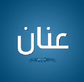 رأفت العلي يرزق ب "عنان "