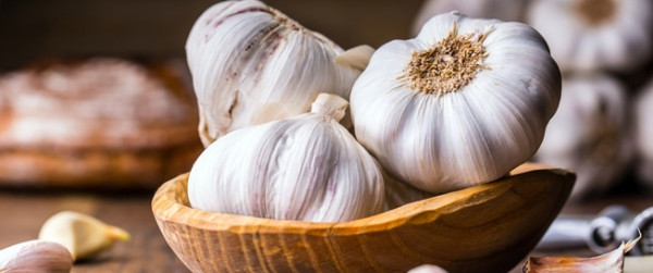 لكبار السنّ ..  هكذا يؤثر تناول الثوم على صحتكم  