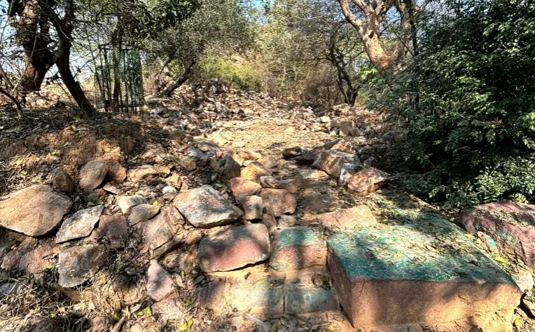 بدعوى تنمية الهند ..  هدم ضريح تاريخي لولي صوفي في دلهي