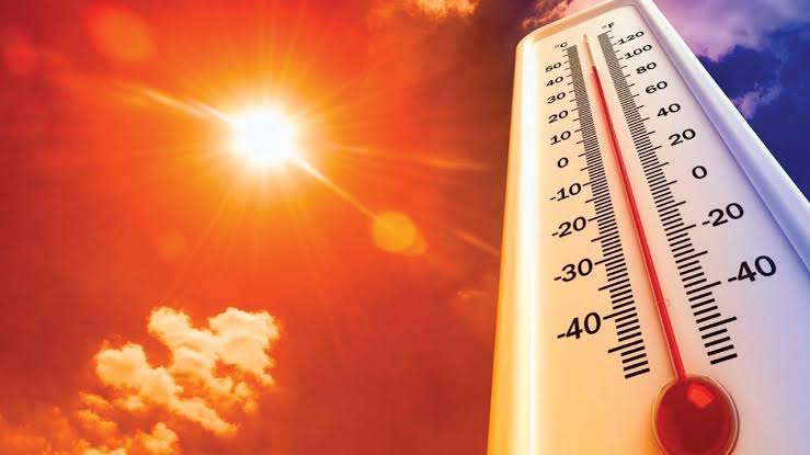 ماذا تأكل في موجات الحر ..  أطعمة تحافظ على ترطيب الجسم وأخرى يفضل تجنبها