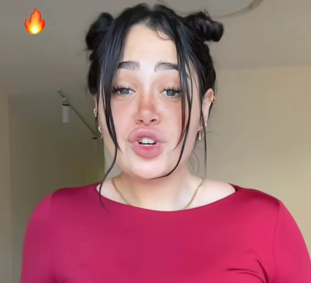 ما حقيقة فيديو البلوغر حبيبة رضا المسرّب مع شهاب الدين؟