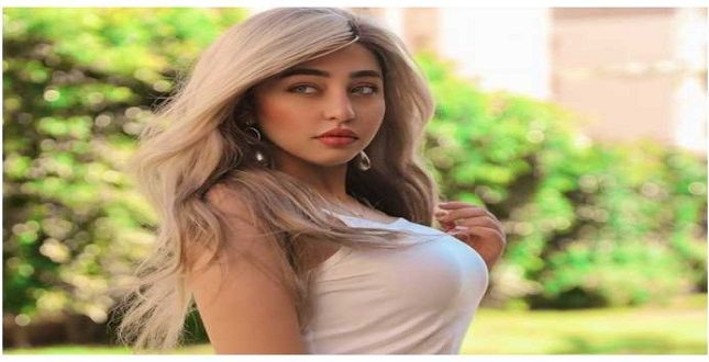 الحكم على فتاة “تيك توك” ريناد عماد بعد إدانتها بصناعة محتوى إباحي