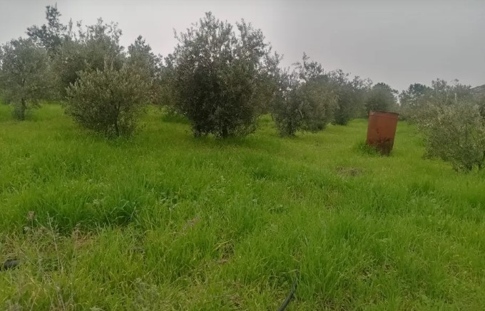  مزرعه مع بيت ريفي بسعر مميز