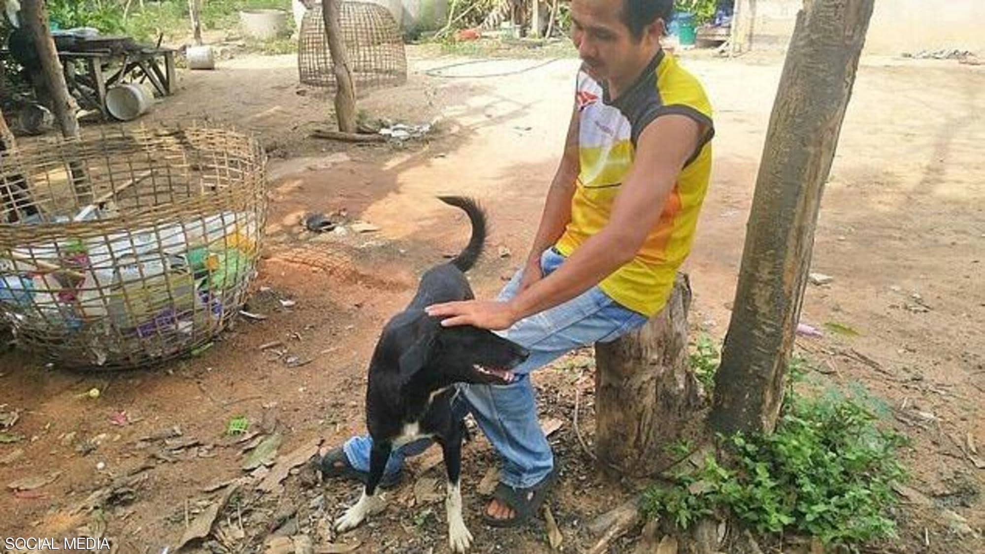 لن تصدق  ..  كلب  ينقذ رضيعا بعد دفنه ويكشف "خطيئة الأم" في تايلاند  .. "تفاصيل"