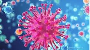 260 ألف حالة وفاة سنويا ..  التهاب السحايا يستنفر منظمة الصحة العالمية 