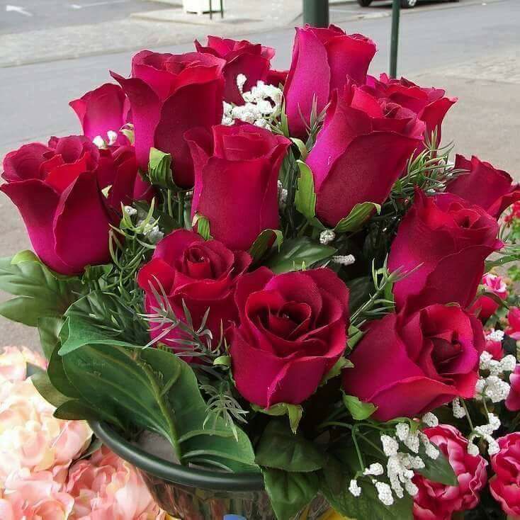 علاء عبابنه ميلاد سعيد 
