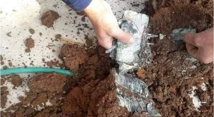 ما حقيقة تخبئة عجوز في الأردن الاف الدنانير بـ "قواوير زريعة"؟  ..  صور 