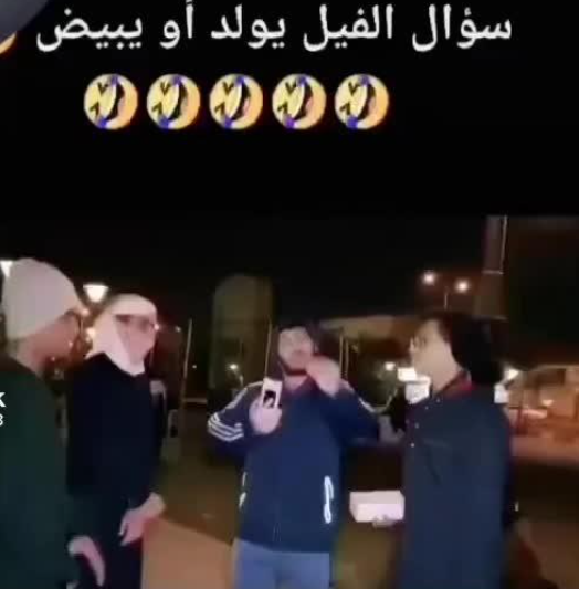 الفيل يبيض ام يولد؟ شاهد اجابة غير متوقعة