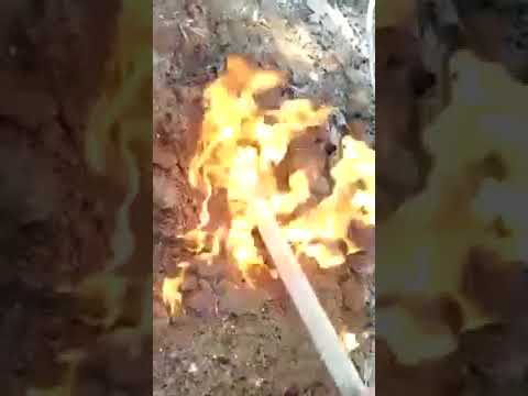 بالفيديو: باحثون عن ذهب ينشرون مقطع لمنع "رصد" لهم الاقتراب من كنز 