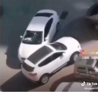 الشخص الوحيد الذي من حقه التباهي بامتلاكه رخصة قيادة  ..  فيديو