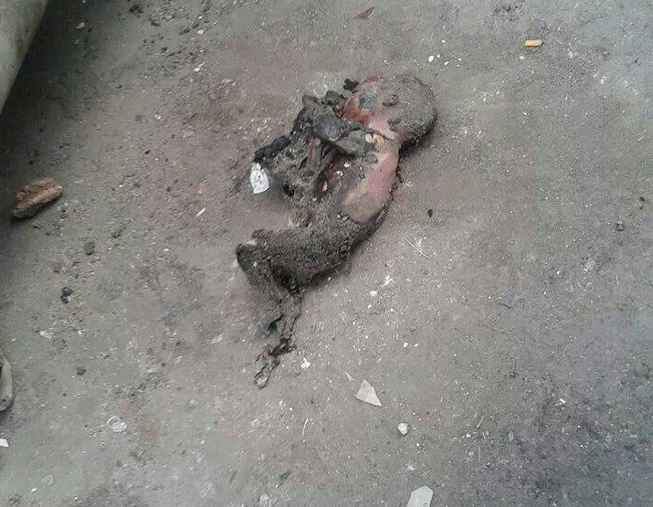 العثور على جثة رضيع "مُتفحمة" داخل حاوية نفايات في إربد  ..  صورتان