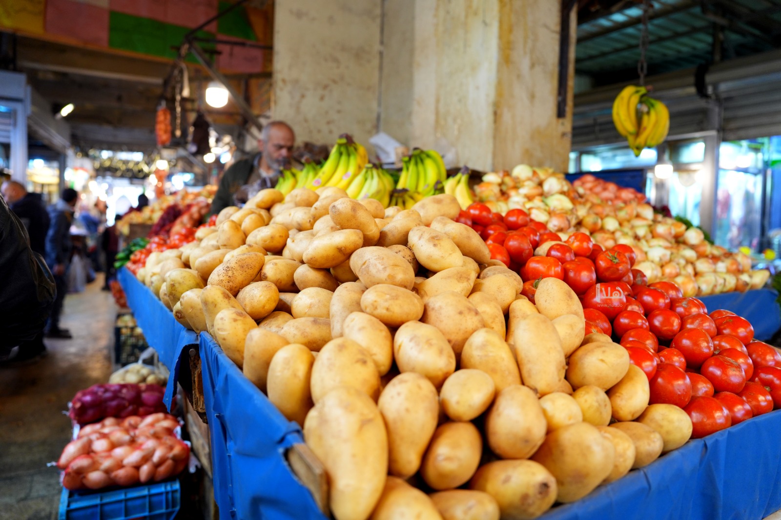 2148 طنا من الخضار ترد السوق المركزي اليوم