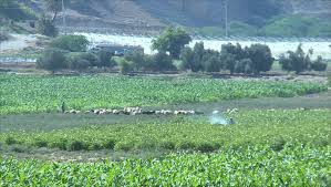 "وادي الأردن" تعول على دور الأمطار الخريفية بإراحة إسالة المياه للزراعات