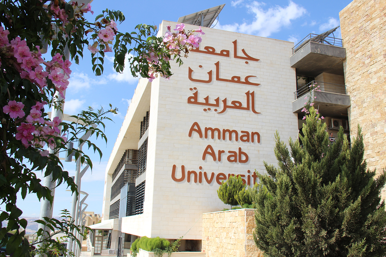 تشكيلات إدارية في جامعة عمان العربية 