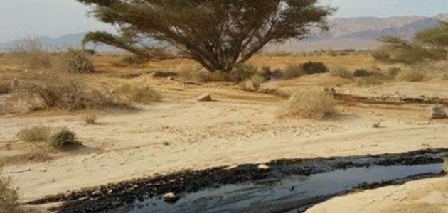 الفاتورة النفطية للأردن تتجاوز مليار دينار حتى آب