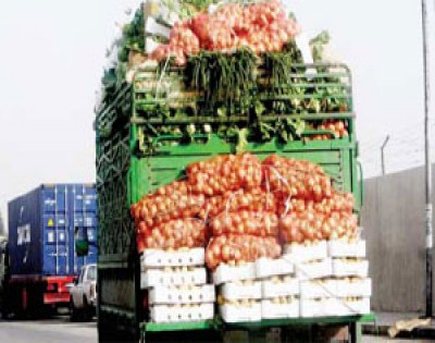 "الزراعة": تصدير 58 ألف طن خضار وفواكه