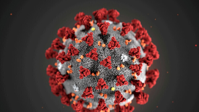 عرض كوفيد-19 على لجنة الأوبئة الأسبوع المقبل لاعتماده كفيروس موسمي