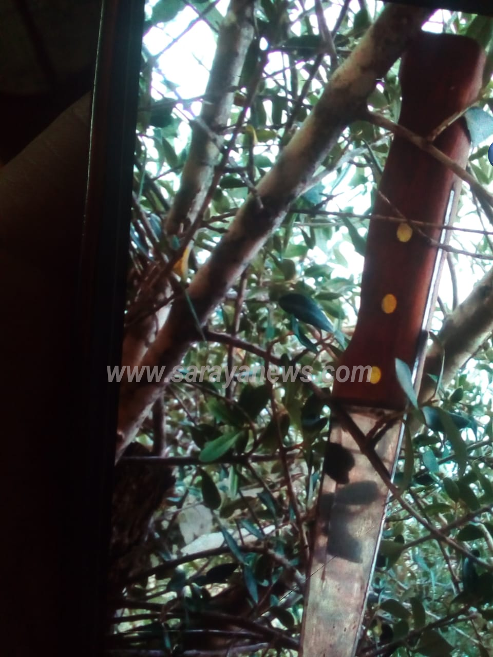 بالصور .. اربد : والد المغدور علي الفقهاء واشقائه يكشفون لسرايا تفاصيل الجريمة المروعة  ..  "تفاصيل"