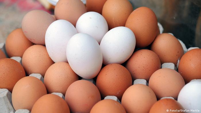 صدق أو لا تصدق .. قيود على شراء البيض في بريطانيا