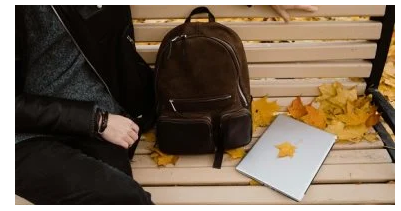 لماذا نحب الخريف؟ أسرار السعادة في فصل الأوراق المتساقطة