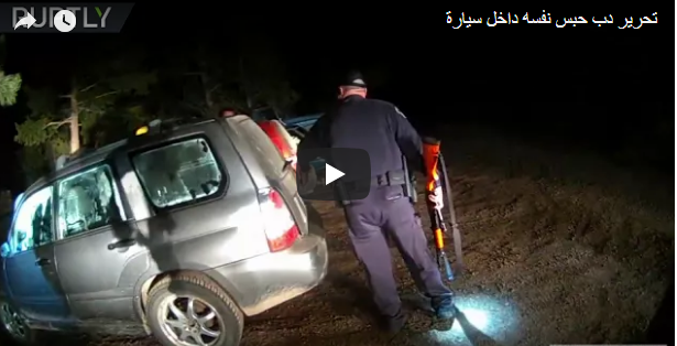 “بالفيديو” شرطيان يحرران دب حبس نفسه داخل سيارة