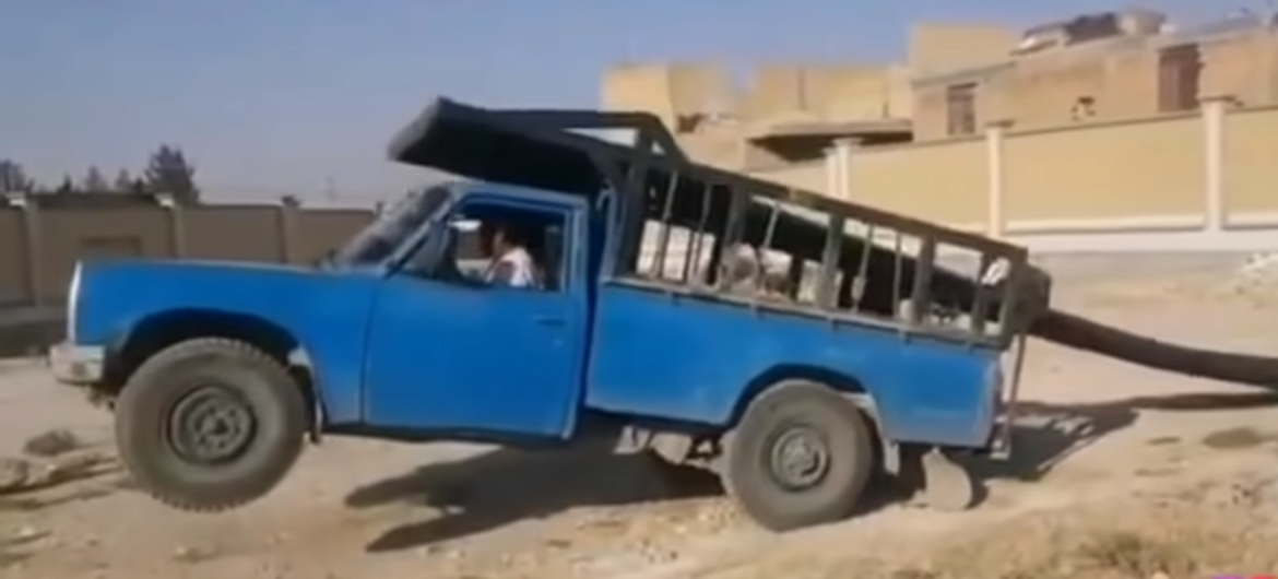  طرائف مضحكة جدا جدا 2022 