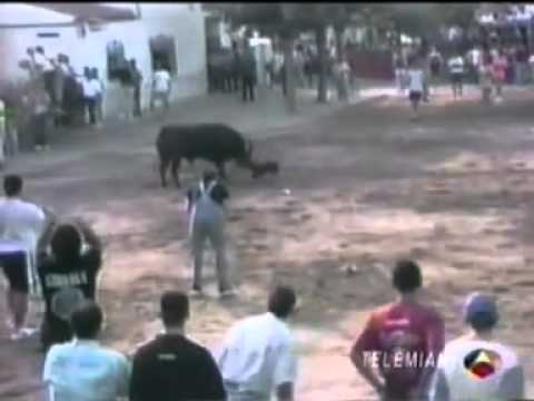 كلب يهاجم ثوراً متحديا الموت لينقذ صاحبه