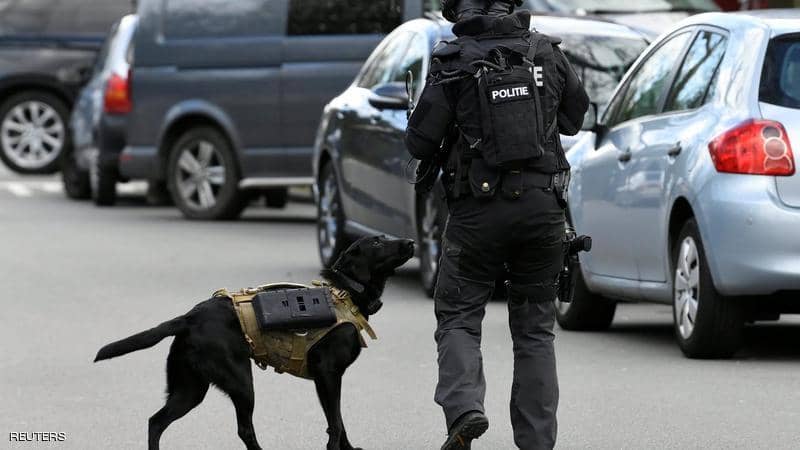 بالصور  ..  "لابرادور" بسترة واقية ..  كلب الشرطة الهولندية يلفت الأنظار